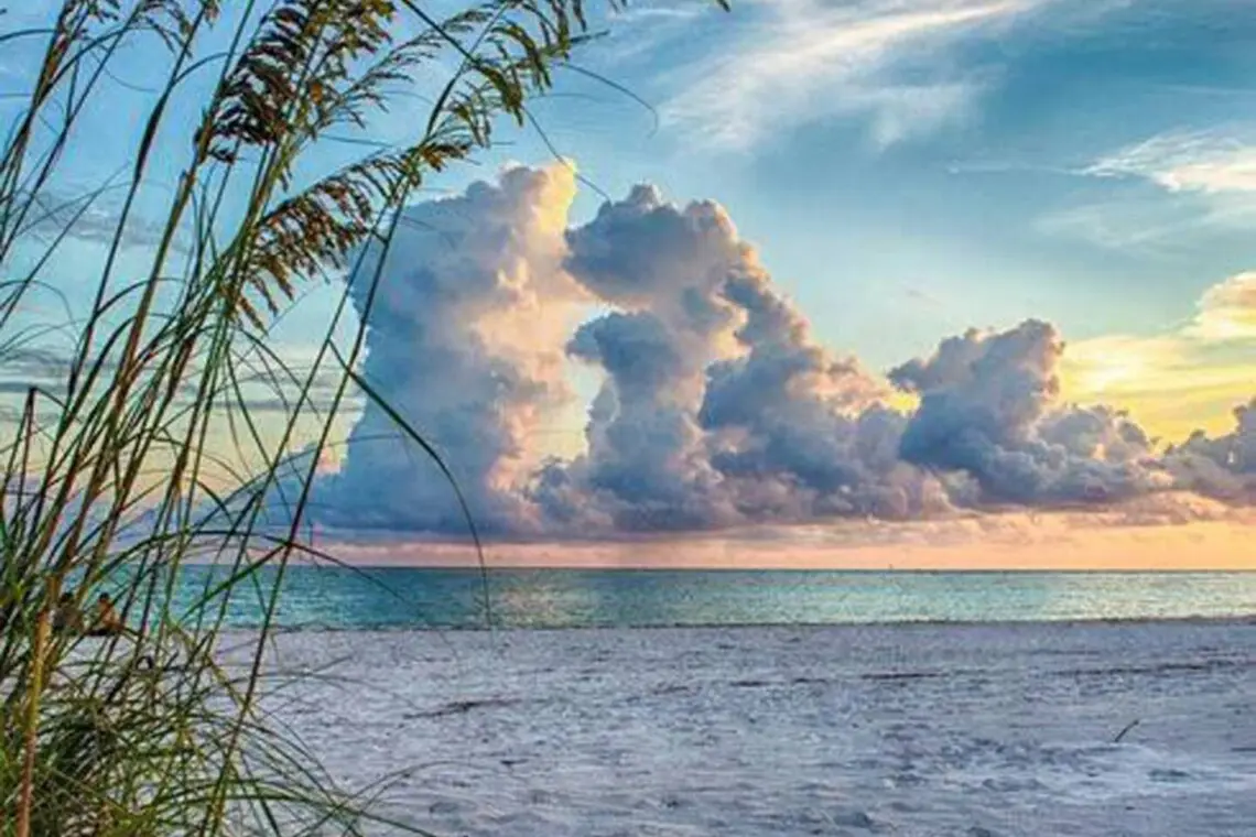 096e0cfe 9f5e 48dc b8d0 08d387d59242