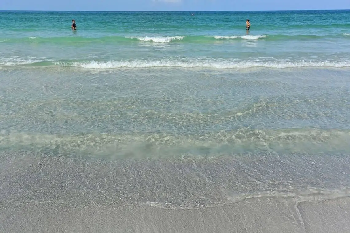 26558c4d 0938 494b b803 c5a9839611f0