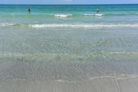 26558c4d 0938 494b b803 c5a9839611f0