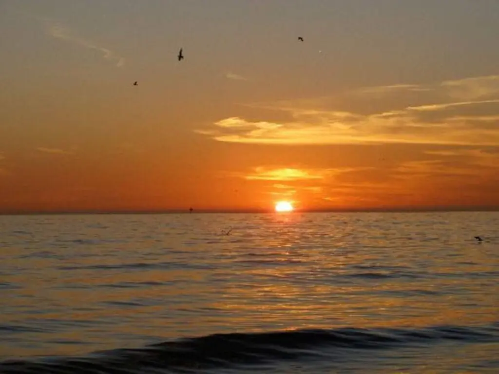 6ec96ddd c3af 450d 8764 19ff4258213e