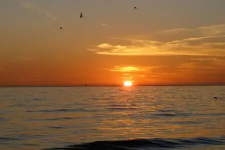 6ec96ddd c3af 450d 8764 19ff4258213e